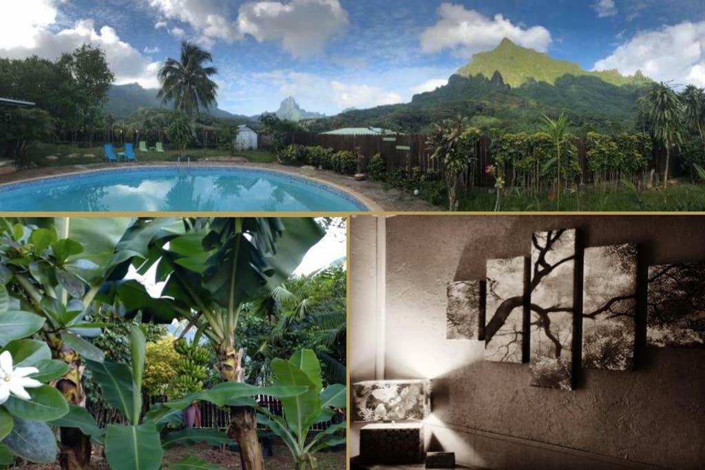 Fare Haurevaiti Moorea Паопао Экстерьер фото