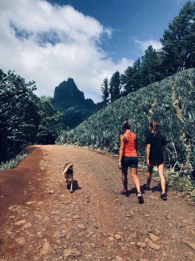 Fare Haurevaiti Moorea Паопао Экстерьер фото